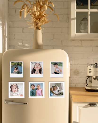 EverCling Classic Photo Magnets (12 sets)
