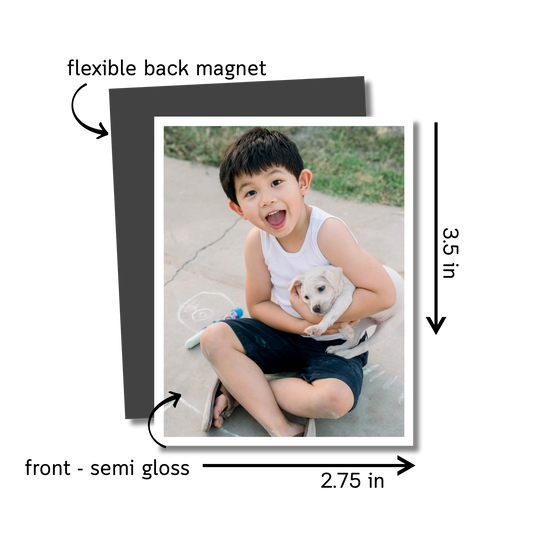 EverCling Classic Photo Magnets (12 sets)